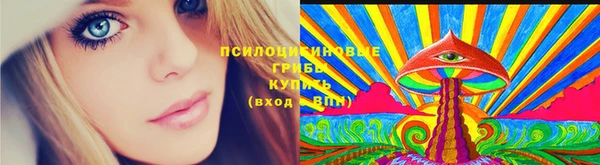 гидропоника Абдулино