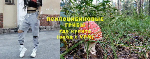 шишки Алзамай