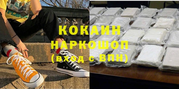 шишки Алзамай