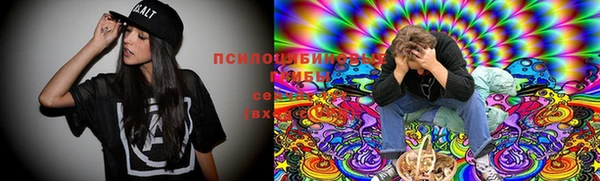 дмт Алексеевка