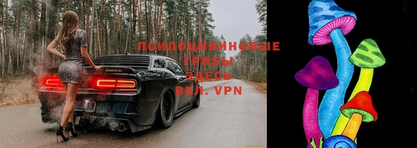 хмурый Абинск