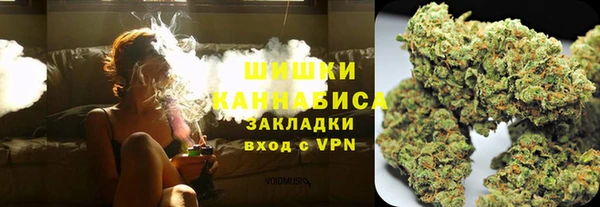 шишки Алзамай