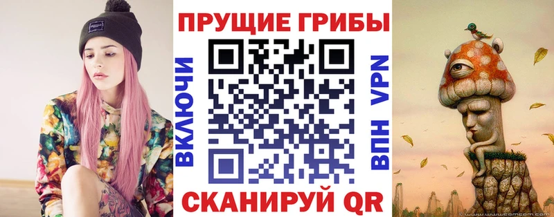 где купить наркоту  Истра  Галлюциногенные грибы прущие грибы 