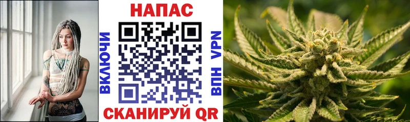 Бошки Шишки конопля  Истра 